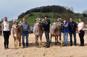 1Pdest Champions
